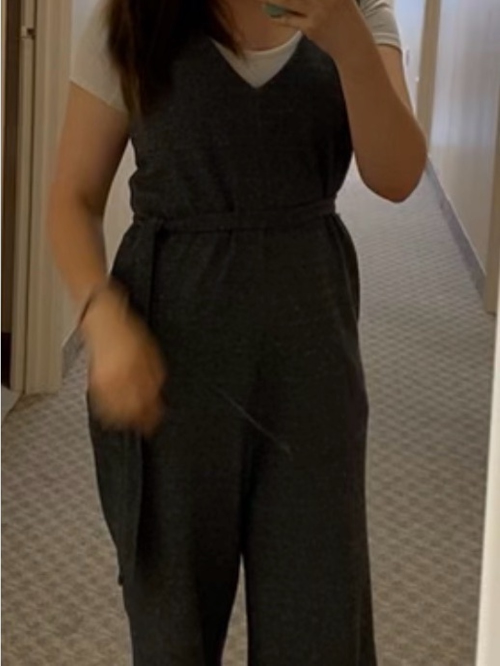 Frank & Oak Charcoal Sleeveless V-Neck Jumpsuit with Tie Waist - Picture 9 of 10